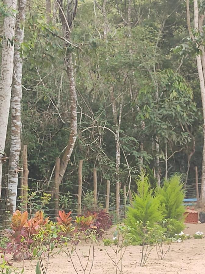 Casa De Campo Banheira, Lareira E Cachoeira بيدرا أزول المظهر الخارجي الصورة
