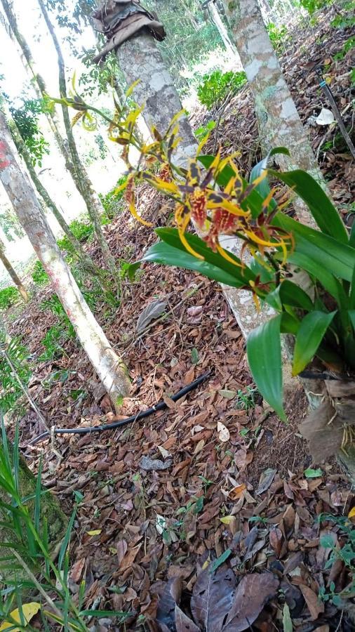 Casa De Campo Banheira, Lareira E Cachoeira بيدرا أزول المظهر الخارجي الصورة